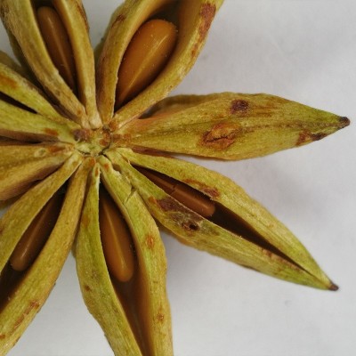 八角冻干八角大红八角八角茴香广西大红八角工厂现货500g 八角图2