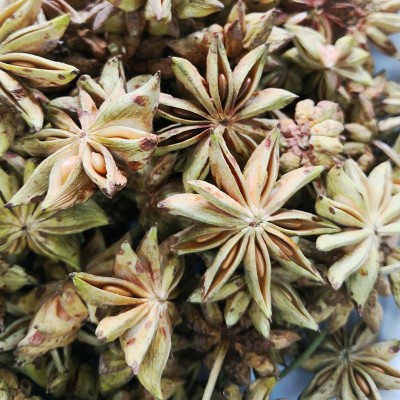 八角冻干八角大红八角八角茴香广西大红八角工厂现货直供50g 八角图2