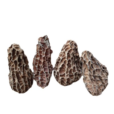 云南野生羊肚菌干货批发 食用菌头茬剪柄干羊肚菌产地直发高原图5