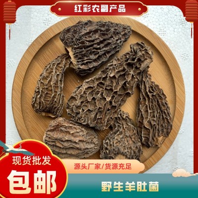 羊肚菌干货散装批发 头茬剪柄野生羊肚菌特产一件代发手工