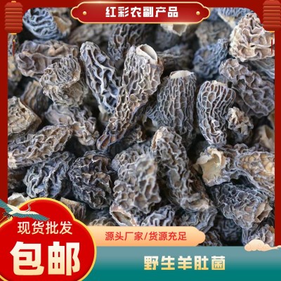 云南特产头茬野生羊肚菌干货煲汤食材羊肚菌散装批发优质煲汤圣品