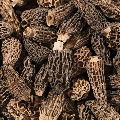 云南特产头茬野生羊肚菌干货煲汤食材羊肚菌散装批发优质煲汤圣品图2