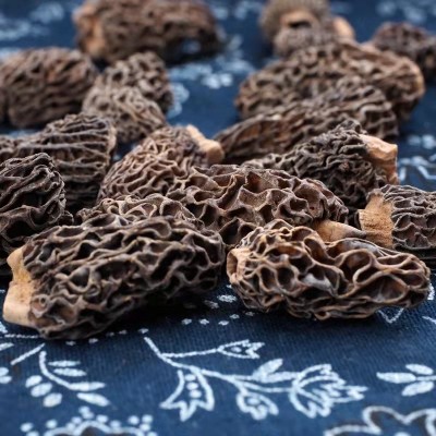 云南特产头茬野生羊肚菌干货煲汤食材羊肚菌散装批发优质煲汤圣品图4