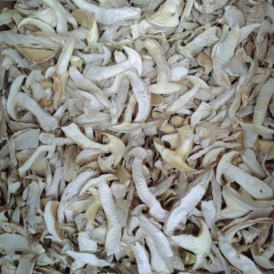 云南特产白松茸干货 食用雪山松茸高山松茸干片 煲汤食材松茸批发图3