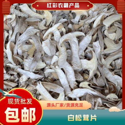 云南特产白松茸干货 食用雪山松茸高山松茸干片 煲汤食材松茸批发