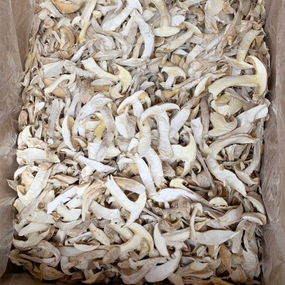 云南特产白松茸干货 食用雪山松茸高山松茸干片 煲汤食材松茸批发图2