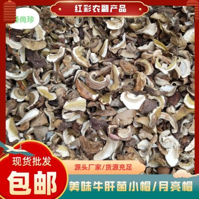 云南美味牛肝菌 牛肝菌批发 美味牛肝菌小帽月牙帽食用菌产地直销