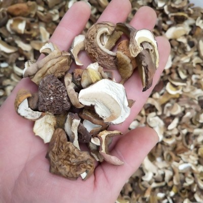 云南美味牛肝菌 牛肝菌批发 美味牛肝菌小帽月牙帽食用菌产地直销图2