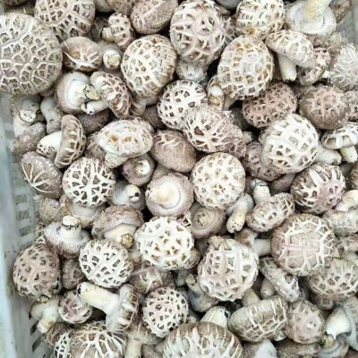 出口天白花菇干货高品质大花菇剪脚冬菇量大从优肉厚蘑菇厂家直销图2