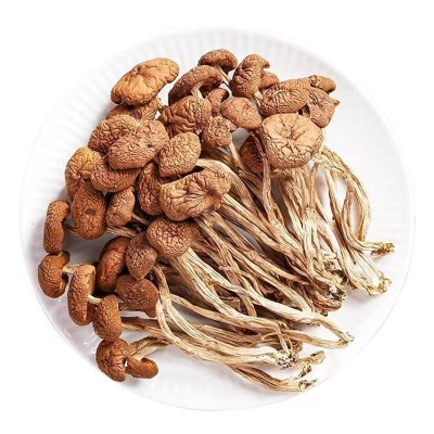 农家自种特产茶树菇干货不开伞菌菇厂家直销 量大批发 煲汤佳食材图4