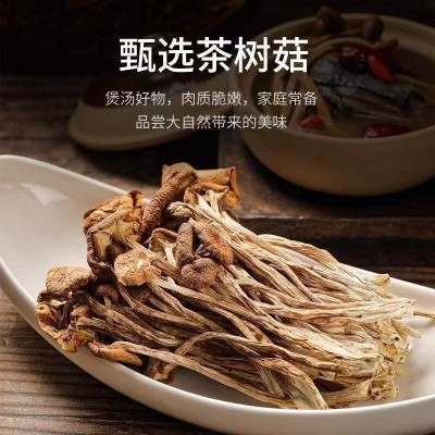 农家自种特产茶树菇干货不开伞菌菇厂家直销 量大批发 煲汤佳食材