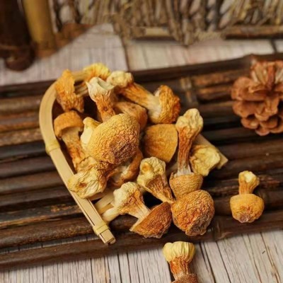 古田姬松茸干货批发酒店餐饮煲汤食材当季新货巴西蘑菇食用菌直销图4