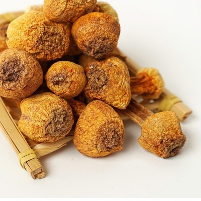 古田姬松茸干货批发酒店餐饮煲汤食材当季新货巴西蘑菇食用菌直销图5