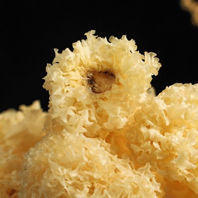 古田的椴木小银耳批发胶多易糯小银耳花口感脆嫩餐饮食材厂家直销图2