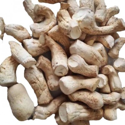 源头厂家双剪香菇脚出口品质抛光打磨脱水香菇根腿香菇柄量大从优图5
