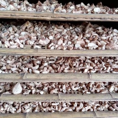 源头厂家双剪香菇脚出口品质抛光打磨脱水香菇根腿香菇柄量大从优图3