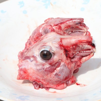 山东厂家批量供应新鲜兔头肉 现杀现卖农村喂养兔肉图2