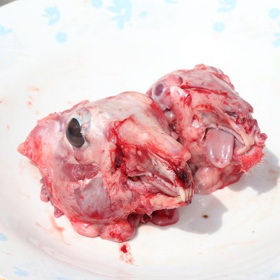 山东厂家批量供应新鲜兔头肉 现杀现卖农村喂养兔肉图5