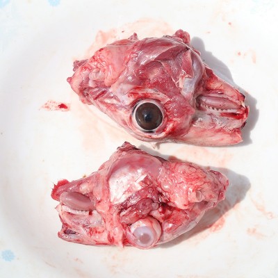 山东厂家批量供应新鲜兔头肉 现杀现卖农村喂养兔肉图4