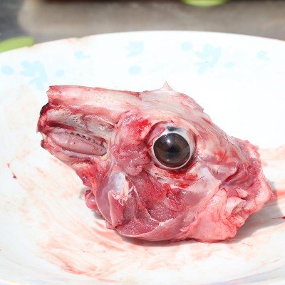 山东厂家批量供应新鲜兔头肉 现杀现卖农村喂养兔肉图3