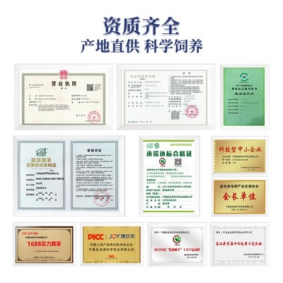 宁夏盐池滩羊带骨羊前腿烤羊腿冷冻羊肉烧烤火锅食材烤全羊烤肉图4