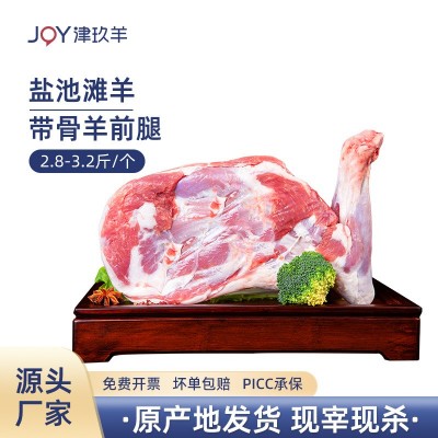 宁夏盐池滩羊带骨羊前腿烤羊腿冷冻羊肉烧烤火锅食材烤全羊烤肉
