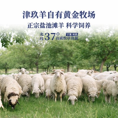 宁夏盐池滩羊无脊羊排整扇去脊烧烤用新鲜肋排半成品冷冻批发羊肉图2