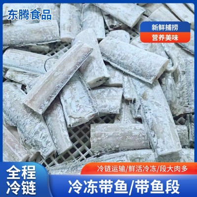 现货销售新鲜冷冻深海带鱼段 整箱中段带鱼块水产海鲜商用食材（面议）
