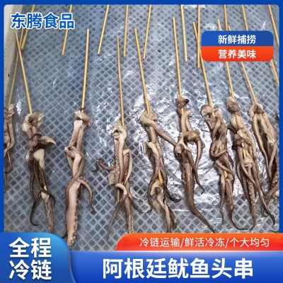 阿根廷鱿鱼头串批发 冷冻烧烤用鱿鱼头串 销售商用鱿鱼头串食材（面议）