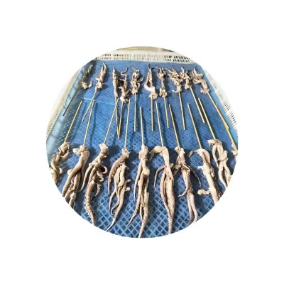 阿根廷鱿鱼头串批发 冷冻烧烤用鱿鱼头串 销售商用鱿鱼头串食材（面议）图4