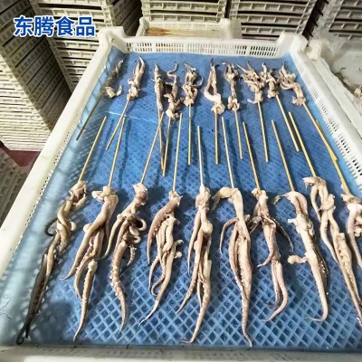 阿根廷鱿鱼头串批发 冷冻烧烤用鱿鱼头串 销售商用鱿鱼头串食材（面议）图5