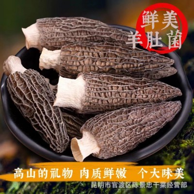 新货干羊肚菌4-6 肉厚带脚云南特产干货 大量批发500g各规格齐全