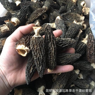 新货干羊肚菌4-6 肉厚带脚云南特产干货 大量批发500g各规格齐全图3