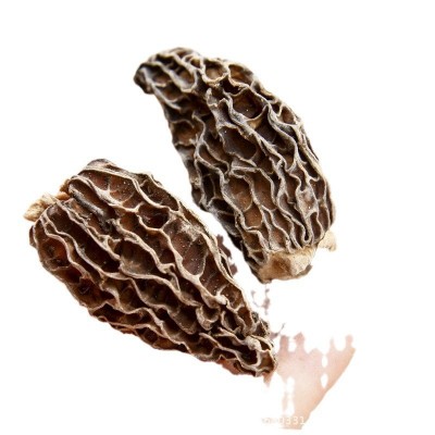 新货干羊肚菌4-6 肉厚带脚云南特产干货 大量批发500g各规格齐全图4