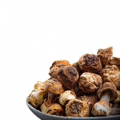 新货姬松茸 大量批发 巴西菇云南姬松茸品种规格齐全直销 包邮图4