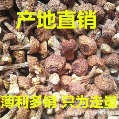 新货姬松茸 大量批发 巴西菇云南姬松茸品种规格齐全直销 包邮图3