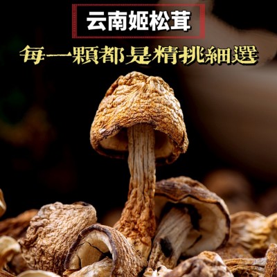 新货姬松茸 大量批发 巴西菇云南姬松茸品种规格齐全直销 包邮