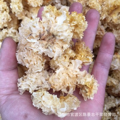 椴木银耳 雪耳白木耳 云南产地直销