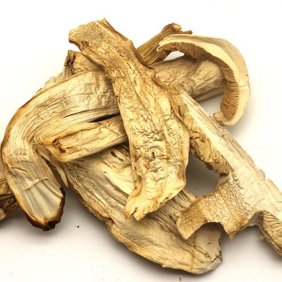 春生堂云南农产品煲汤松茸片干货 一手货源批发图5