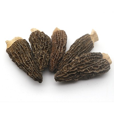 春生堂云南剪柄羊肚菌干货 食用菌散装黑身厚肉剪脚厂家批发图5