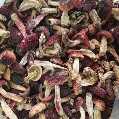 250g云南正红菇干货武夷山红菇蓝底正红姑红椎菌干品炖汤食材批发图4