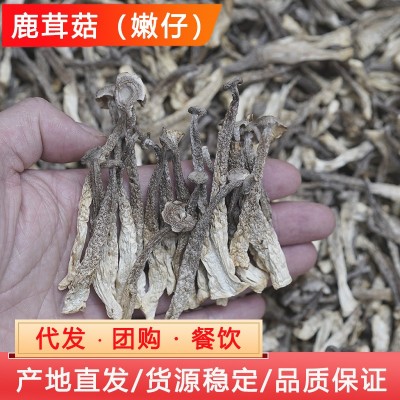 500g散装鹿茸菇嫩仔干货食用菌批发菇菌产地无硫特产美味无硫干