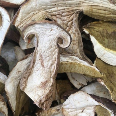 牛肝菌 干片美味 白牛肝菌A货 无杂质 剪过泥脚 可直接办理出口图2