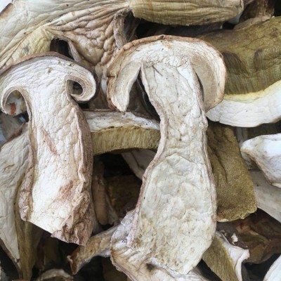 牛肝菌 干片美味 白牛肝菌A货 无杂质 剪过泥脚 可直接办理出口