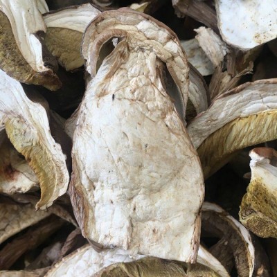 牛肝菌 干片美味 白牛肝菌A货 无杂质 剪过泥脚 可直接办理出口图4