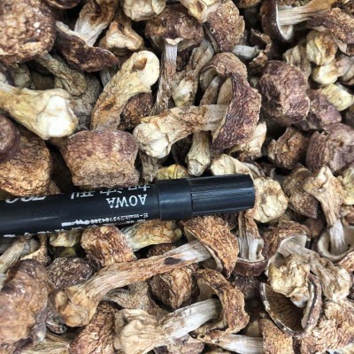 姬松茸 松茸菌 巴西菇 巴西蘑菇 本色姬松茸 自然纯色 产地直销图2