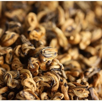 云南滇红茶 凤庆红金螺 2024年红茶工夫红茶 单芽红螺 全芽500克图2