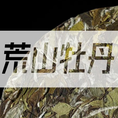 2023福鼎白茶 荒山牡丹 单饼300g 礼盒装 承接单位团购图3