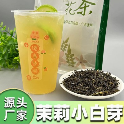 广西横县茉莉小白芽散装茉莉雪芽浓香型毛尖花茶茉莉花茶厂家批发图2