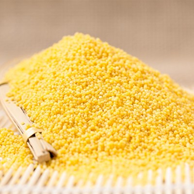 黄小米新米小黄米五谷杂粮月子粥工厂批发糯小米5斤装一件代发